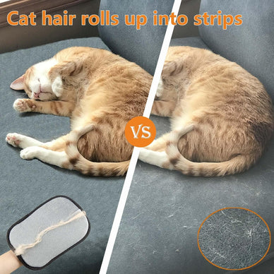 Transform Your Home Into a Fur-Free Sanctuary